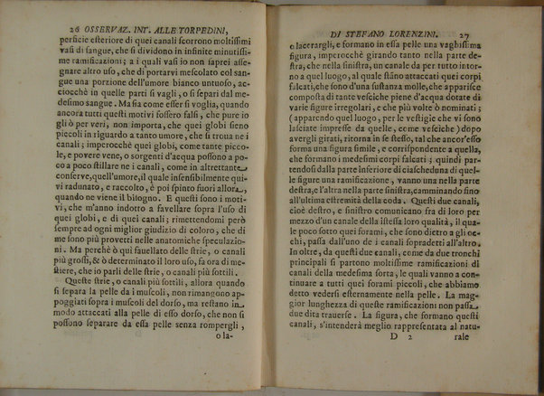 Osservazioni intorno alle torpedini fatte da Stefano Lorenzini fiorentino, e dedicate al serenissimo Ferdinando 3. principe di Toscana