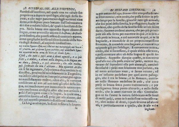 Osservazioni intorno alle torpedini fatte da Stefano Lorenzini fiorentino, e dedicate al serenissimo Ferdinando 3. principe di Toscana