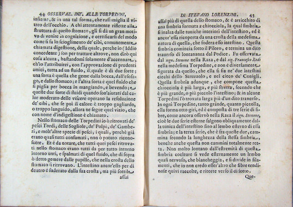 Osservazioni intorno alle torpedini fatte da Stefano Lorenzini fiorentino, e dedicate al serenissimo Ferdinando 3. principe di Toscana