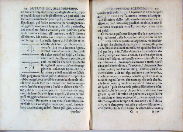 Osservazioni intorno alle torpedini fatte da Stefano Lorenzini fiorentino, e dedicate al serenissimo Ferdinando 3. principe di Toscana