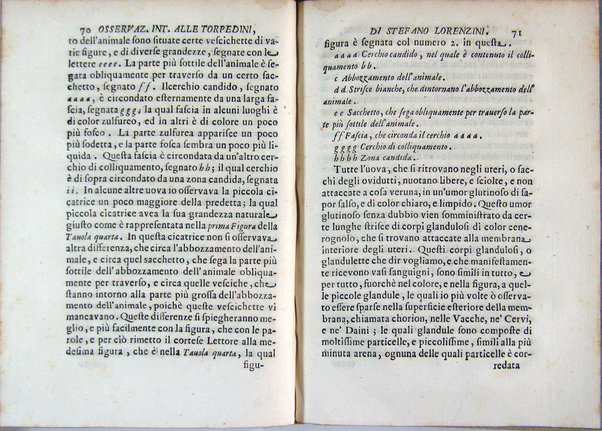 Osservazioni intorno alle torpedini fatte da Stefano Lorenzini fiorentino, e dedicate al serenissimo Ferdinando 3. principe di Toscana