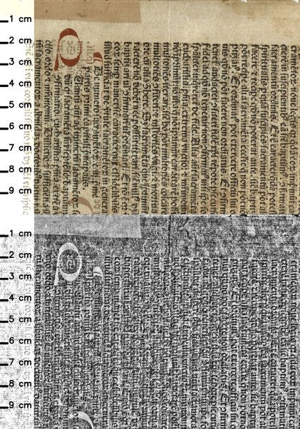 Incipit manipulus curatorum a Guidone de monte rocherij