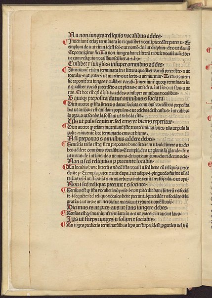 Alexandri grammatici Opus interpretatum a viro eruditissimo grammatico dno. Ludouico de Guaschis