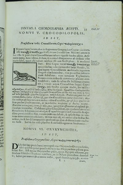 [Athanasii Kircheri e Soc. Iesu, Oedipus Aegyptiacus. Hoc est Vniuersalis Hieroglyphicae Veterum doctrinae temporum iniuria abolitae instauratio. Opus ex omni orientalium doctrina & sapientia conditum, nec non viginti diuersarum linguarum authoritate stabilitum ...] 1