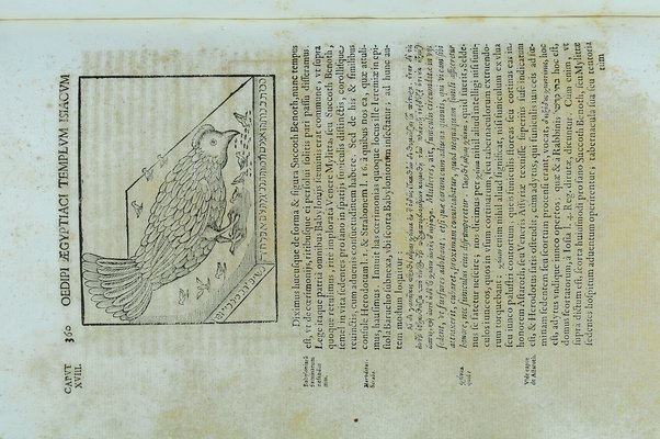 [Athanasii Kircheri e Soc. Iesu, Oedipus Aegyptiacus. Hoc est Vniuersalis Hieroglyphicae Veterum doctrinae temporum iniuria abolitae instauratio. Opus ex omni orientalium doctrina & sapientia conditum, nec non viginti diuersarum linguarum authoritate stabilitum ...] 1