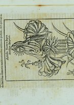 libroantico/VEAE001376/0513