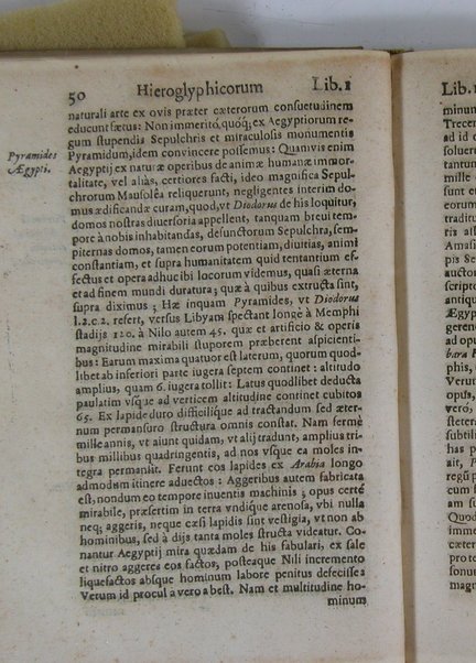 Arcana arcanissima hoc est Hieroglyphica Aegyptio-Graeca, vulgo necdum cognita, ad demonstrandam falsorum apud antiquos deorum, dearum, heroum, animantium & institutorum pro sacris receptorum, originem, ex vno Aegyptiorum artificio, quod aureum animi et corporis medicamentum peregit, deductam, vnde tot poëtarum allegoriae, scriptorum narrationes fabulosae et per totam Encyclopaediam errores sparsi clarissima veritatis luce manifestantur, suaeque tribui singula restituuntur, sex libris exposita authore Michaele Maiero ...