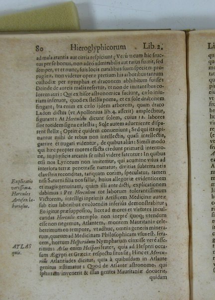 Arcana arcanissima hoc est Hieroglyphica Aegyptio-Graeca, vulgo necdum cognita, ad demonstrandam falsorum apud antiquos deorum, dearum, heroum, animantium & institutorum pro sacris receptorum, originem, ex vno Aegyptiorum artificio, quod aureum animi et corporis medicamentum peregit, deductam, vnde tot poëtarum allegoriae, scriptorum narrationes fabulosae et per totam Encyclopaediam errores sparsi clarissima veritatis luce manifestantur, suaeque tribui singula restituuntur, sex libris exposita authore Michaele Maiero ...