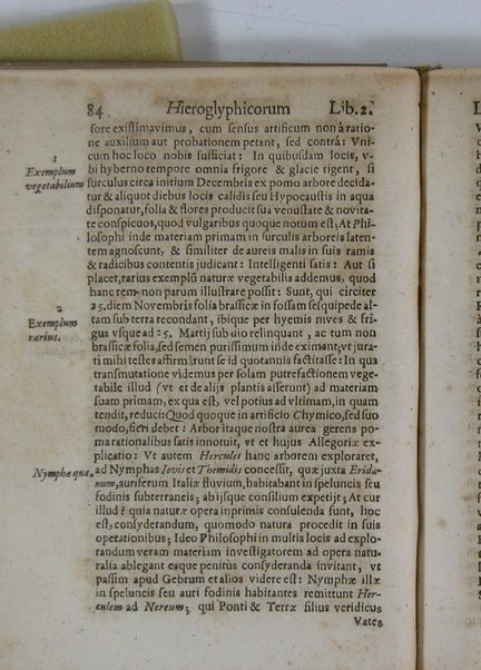 Arcana arcanissima hoc est Hieroglyphica Aegyptio-Graeca, vulgo necdum cognita, ad demonstrandam falsorum apud antiquos deorum, dearum, heroum, animantium & institutorum pro sacris receptorum, originem, ex vno Aegyptiorum artificio, quod aureum animi et corporis medicamentum peregit, deductam, vnde tot poëtarum allegoriae, scriptorum narrationes fabulosae et per totam Encyclopaediam errores sparsi clarissima veritatis luce manifestantur, suaeque tribui singula restituuntur, sex libris exposita authore Michaele Maiero ...