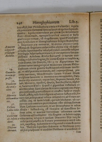 Arcana arcanissima hoc est Hieroglyphica Aegyptio-Graeca, vulgo necdum cognita, ad demonstrandam falsorum apud antiquos deorum, dearum, heroum, animantium & institutorum pro sacris receptorum, originem, ex vno Aegyptiorum artificio, quod aureum animi et corporis medicamentum peregit, deductam, vnde tot poëtarum allegoriae, scriptorum narrationes fabulosae et per totam Encyclopaediam errores sparsi clarissima veritatis luce manifestantur, suaeque tribui singula restituuntur, sex libris exposita authore Michaele Maiero ...