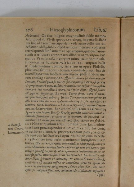 Arcana arcanissima hoc est Hieroglyphica Aegyptio-Graeca, vulgo necdum cognita, ad demonstrandam falsorum apud antiquos deorum, dearum, heroum, animantium & institutorum pro sacris receptorum, originem, ex vno Aegyptiorum artificio, quod aureum animi et corporis medicamentum peregit, deductam, vnde tot poëtarum allegoriae, scriptorum narrationes fabulosae et per totam Encyclopaediam errores sparsi clarissima veritatis luce manifestantur, suaeque tribui singula restituuntur, sex libris exposita authore Michaele Maiero ...