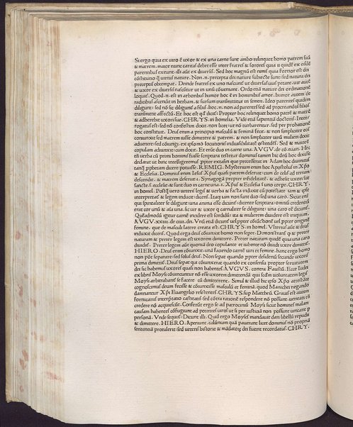 Continuum in librum Euangelii secundum Mattheum [- Iohannem] [1]