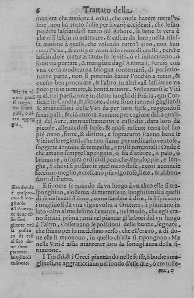 Trattato della coltiuazione delle viti, e del frutto che se ne può cauare. Del s. Gioanuettorio Soderini gentil'huomo fiorentino. E la Coltiuazione toscana delle viti, e d'alcuni arbori del s. Bernardo Dauanzati Bostichi gentil'huomo fiorentino