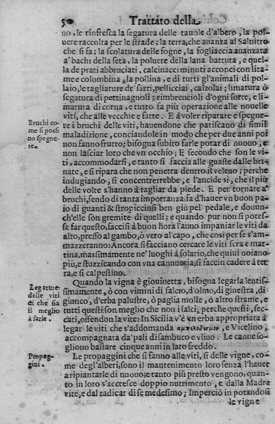 Trattato della coltiuazione delle viti, e del frutto che se ne può cauare. Del s. Gioanuettorio Soderini gentil'huomo fiorentino. E la Coltiuazione toscana delle viti, e d'alcuni arbori del s. Bernardo Dauanzati Bostichi gentil'huomo fiorentino