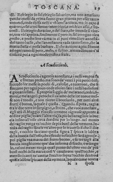 Trattato della coltiuazione delle viti, e del frutto che se ne può cauare. Del s. Gioanuettorio Soderini gentil'huomo fiorentino. E la Coltiuazione toscana delle viti, e d'alcuni arbori del s. Bernardo Dauanzati Bostichi gentil'huomo fiorentino