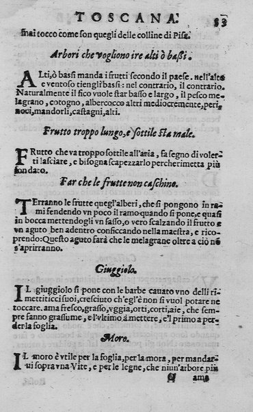 Trattato della coltiuazione delle viti, e del frutto che se ne può cauare. Del s. Gioanuettorio Soderini gentil'huomo fiorentino. E la Coltiuazione toscana delle viti, e d'alcuni arbori del s. Bernardo Dauanzati Bostichi gentil'huomo fiorentino