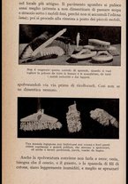 libromoderno/BVE0685970/00000079