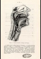 libromoderno/CUB0218939/00000031