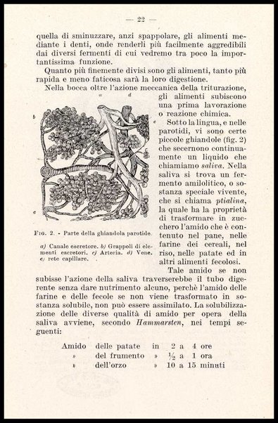 La nutrizione : chimica della vita quotidiana / Calisto Craveri