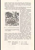 libromoderno/CUB0218939/00000032