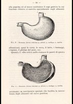 libromoderno/CUB0218939/00000034