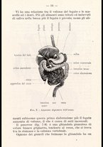 libromoderno/CUB0218939/00000036