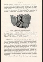 libromoderno/CUB0218939/00000037