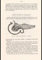 libromoderno/CUB0218939/00000038