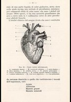 libromoderno/CUB0218939/00000049