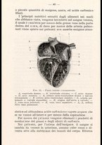 libromoderno/CUB0218939/00000050
