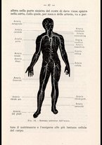 libromoderno/CUB0218939/00000051