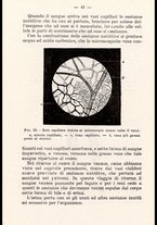 libromoderno/CUB0218939/00000052