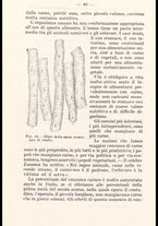 libromoderno/CUB0218939/00000076