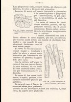 libromoderno/CUB0218939/00000078