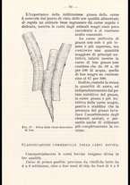 libromoderno/CUB0218939/00000080