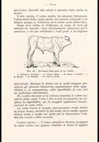 libromoderno/CUB0218939/00000088