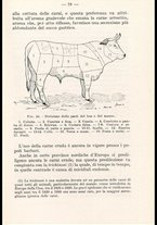 libromoderno/CUB0218939/00000089