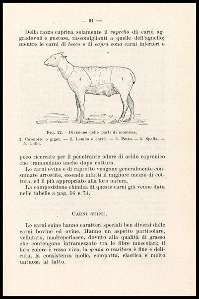 La nutrizione : chimica della vita quotidiana / Calisto Craveri