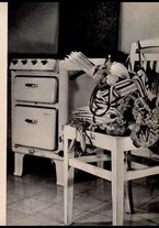 libromoderno/CUB0221822/00000022