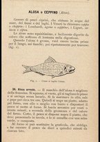 libromoderno/CUB0270624/00000054