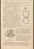 libromoderno/CUB0270624/00000072