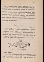 libromoderno/CUB0270625/00000063