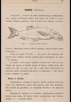 libromoderno/CUB0270625/00000083