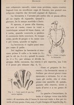 libromoderno/CUB0270625/00000085