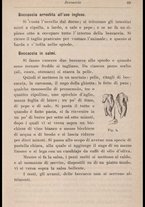 libromoderno/CUB0270625/00000087