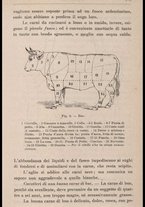 libromoderno/CUB0270625/00000119