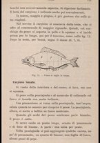 libromoderno/CUB0270625/00000139