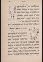 libromoderno/CUB0270625/00000404