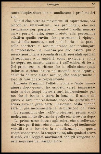 Il vino / G. Grazzi-Soncini