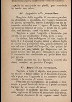 libromoderno/CUB0549974/00000044